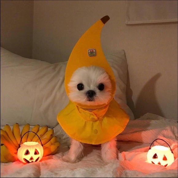 lile257
